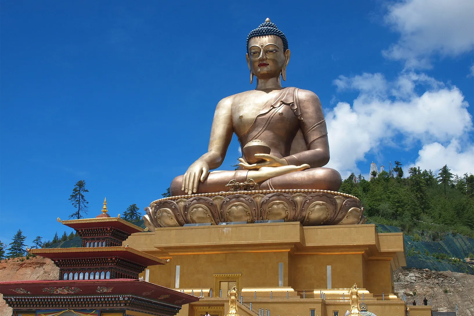 deanne-scanlan-cC7CkFdij9E-unsplash