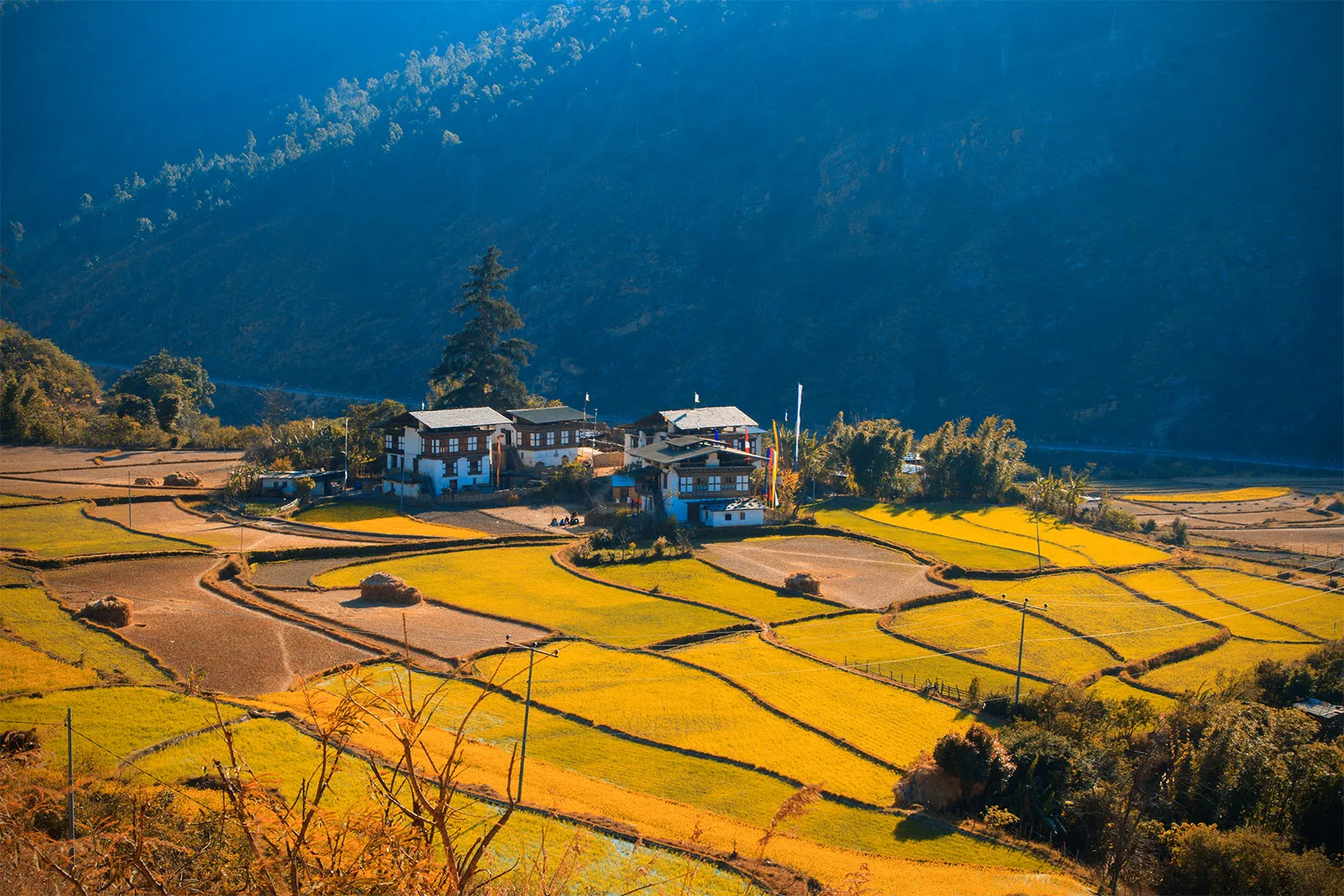 life-in-bhutan-the-traditional-way-of-farming-and-2026-01-08-00-26-11-utc