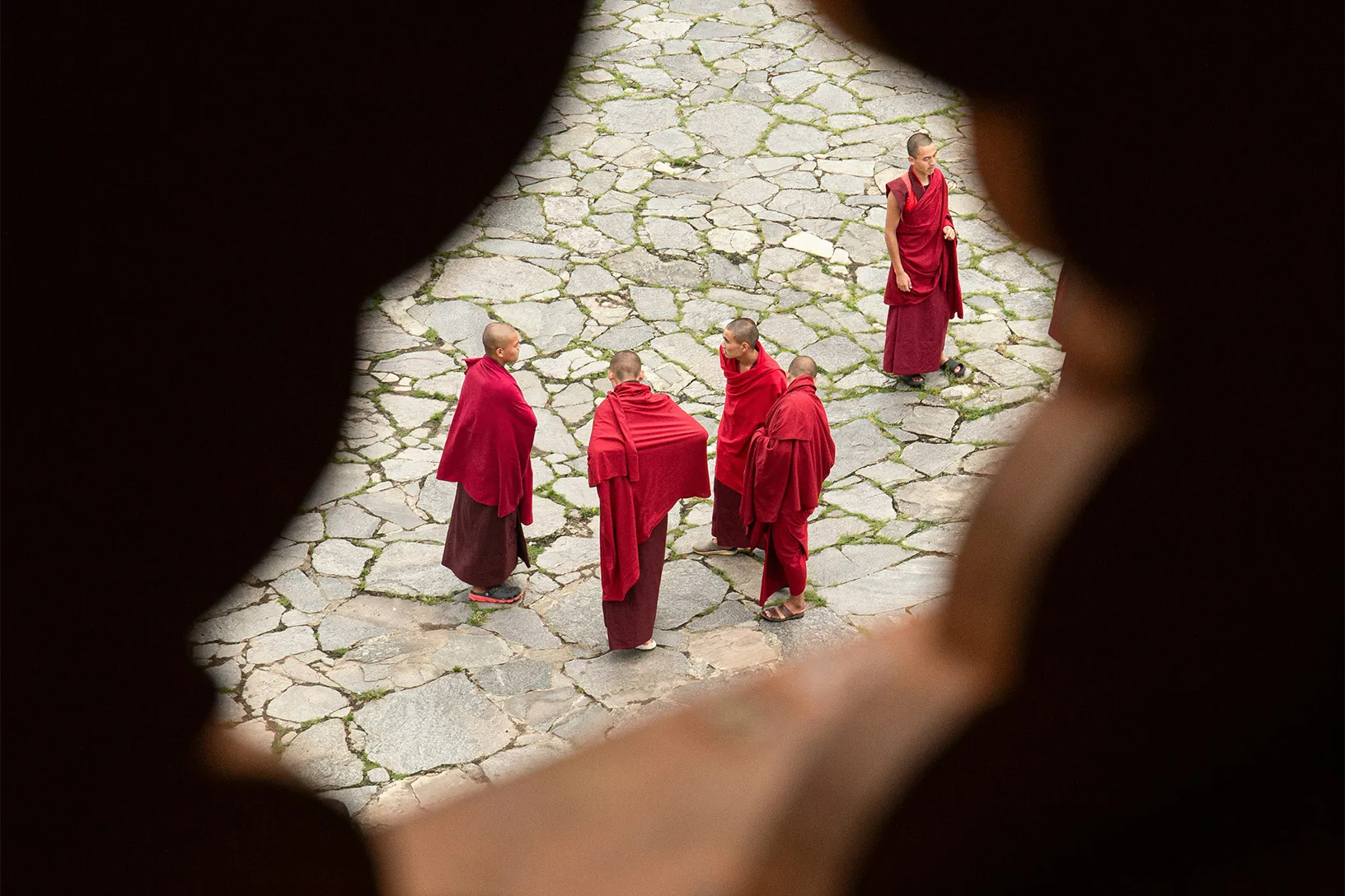 raul-taciu-fYv_dv57zno-unsplash