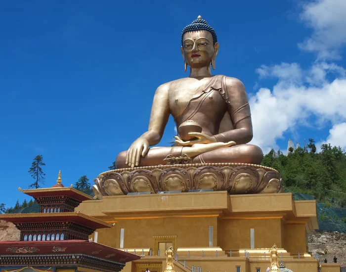 deanne-scanlan-cC7CkFdij9E-unsplash